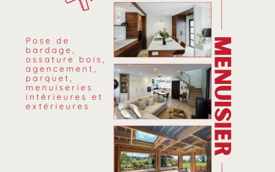 Offre d’emploi POSEUR